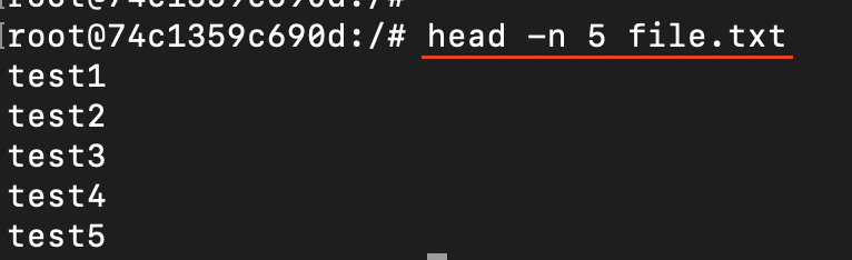 headコマンドで5行表示