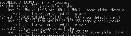 ipv4アドレスのみ表示
